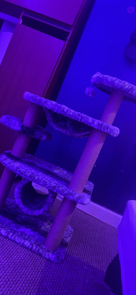 Cat scratch post 