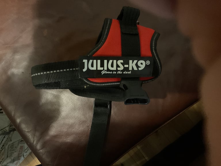 Julius k 9 dog harness