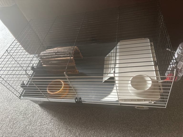 Large indoor Animal cage 