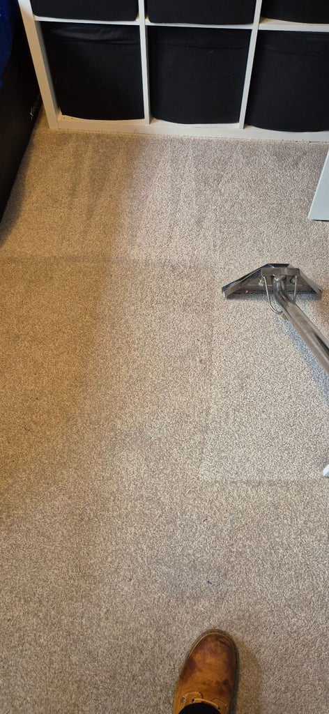 Carpet cleaner