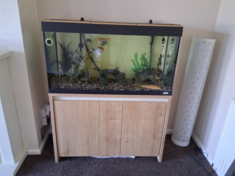Aquarium and cabinet 