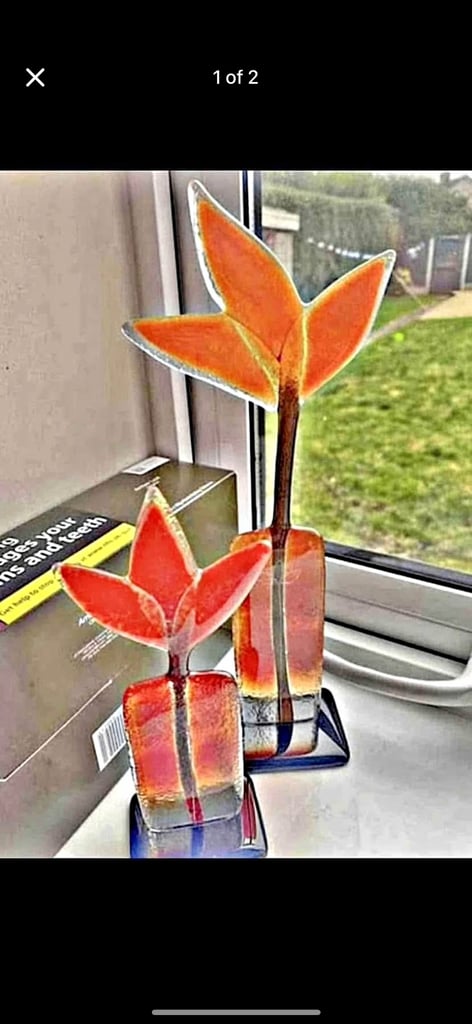 image for Leafs of amber - 50g