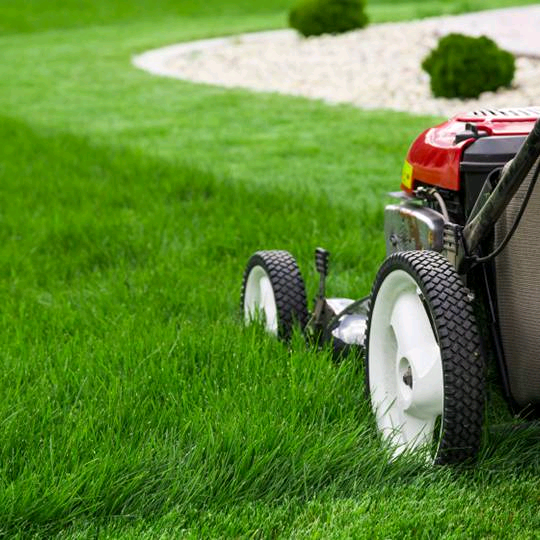 image for Grass cutting 