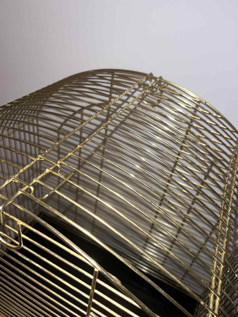Gold bird cage 