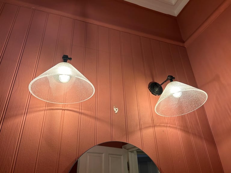 2 Glass Lampshades