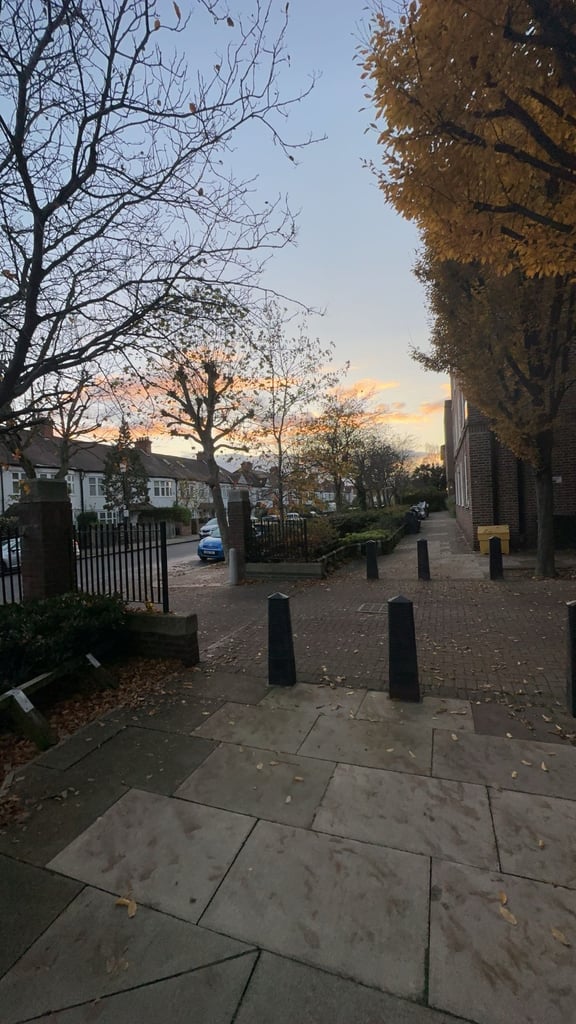 1bed flat swap Kensington 