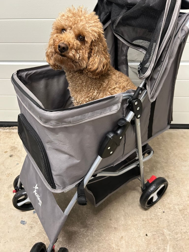 Pet Stroller,  Pet Buggy