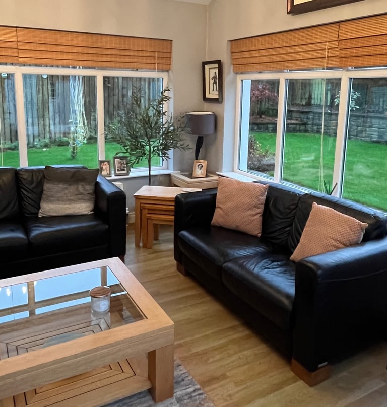 Leather Sofas and Chair