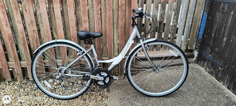 image for Ladies cycle 