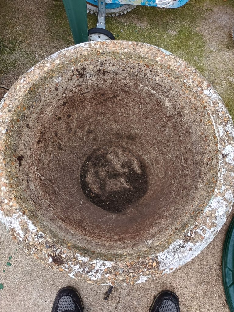 Concrete planters x 2