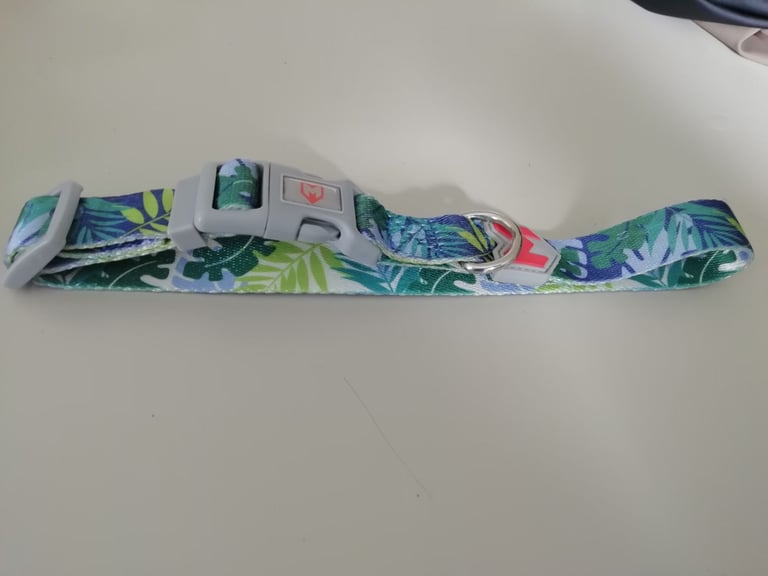 Dog harness and Collar 