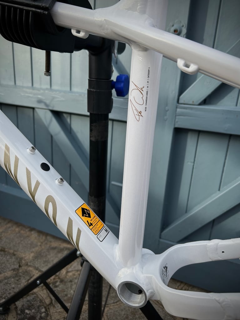 2024 Canyon Stoic Medium 29 Alloy ‘Guardian Angel’ Frame