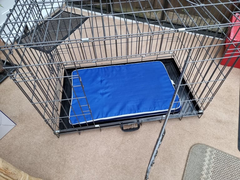 Large dog crate