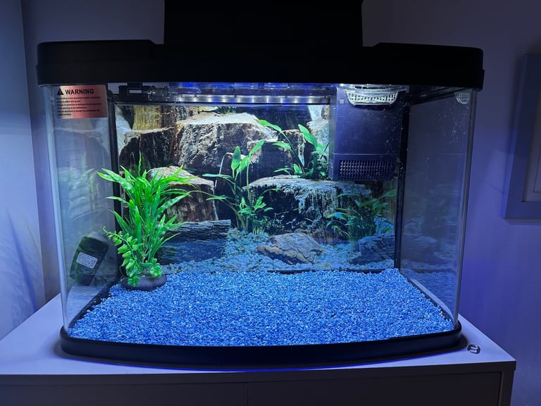 64L fish tank 