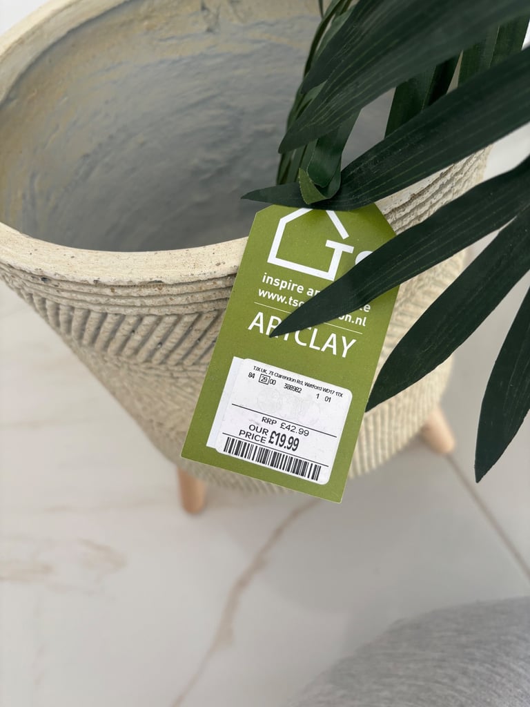 Plant and planter 