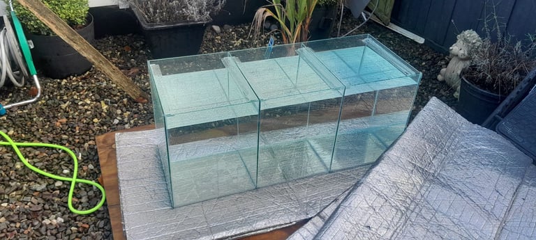 3 section fish tank