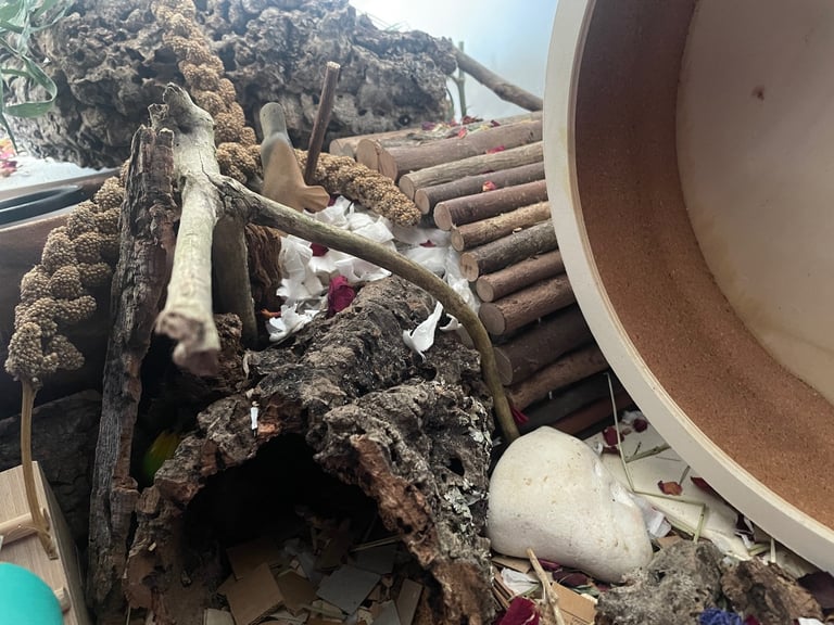 Pawhut hamster cage and lots of accessories for sale