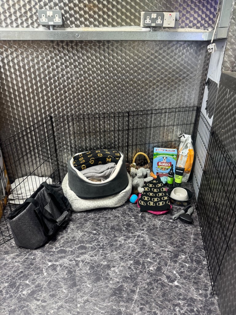 Dog Accessories and Bedding. 