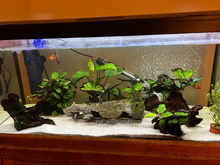 160L Fish Tank & Oak Wood Stand 
