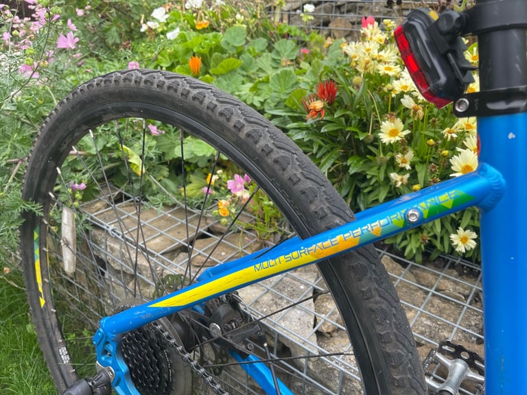 Carrera Mountain Bike Ladies