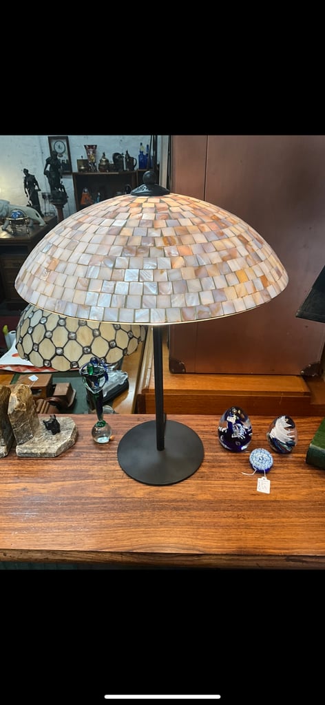 Genuine sea shell lamp 