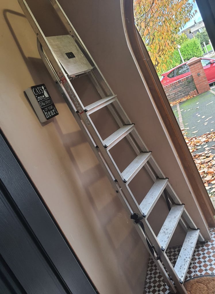 image for 11 Step Ladder 