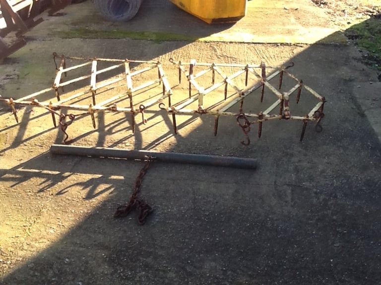 image for Tine Harrower