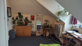 Creative house looking for a new flatmate :)