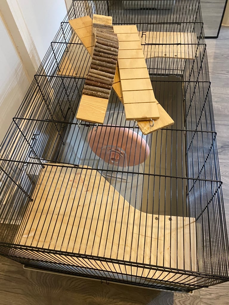 Hamster Cage