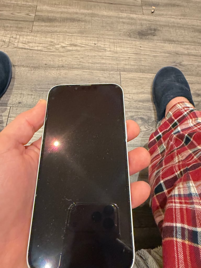 iPhone 14 Plus (unlocked)