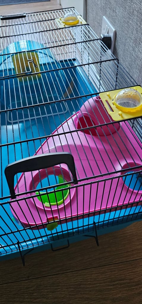 Hamster cage 
