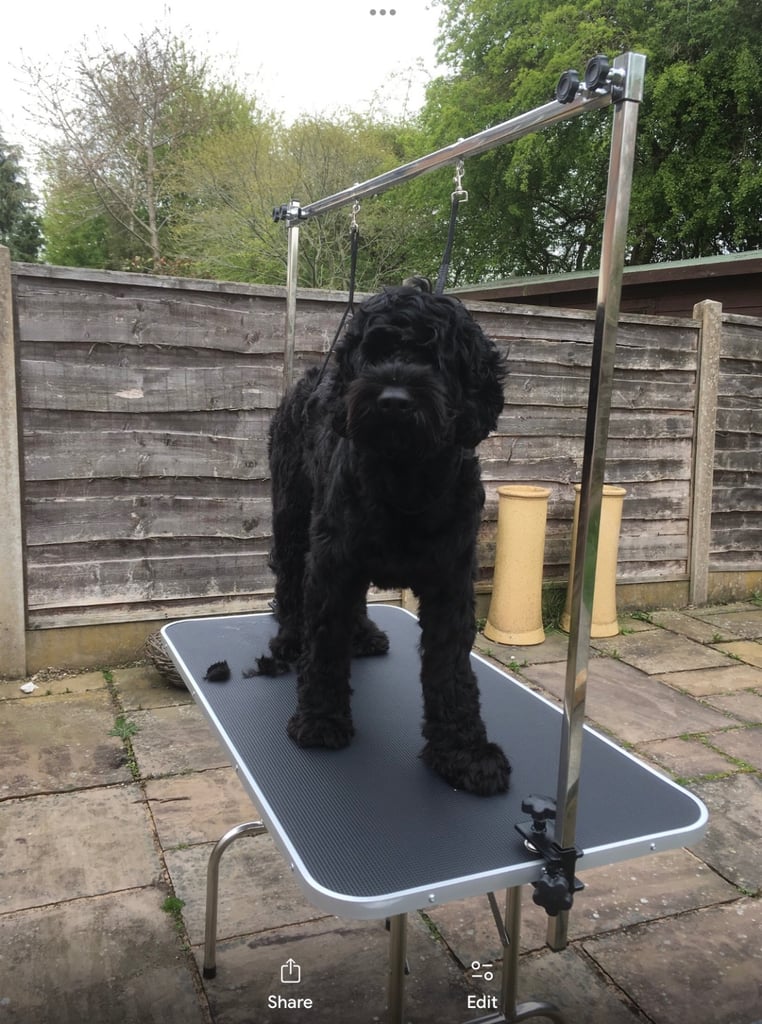 image for Large Pet Dog Grooming Table 46”