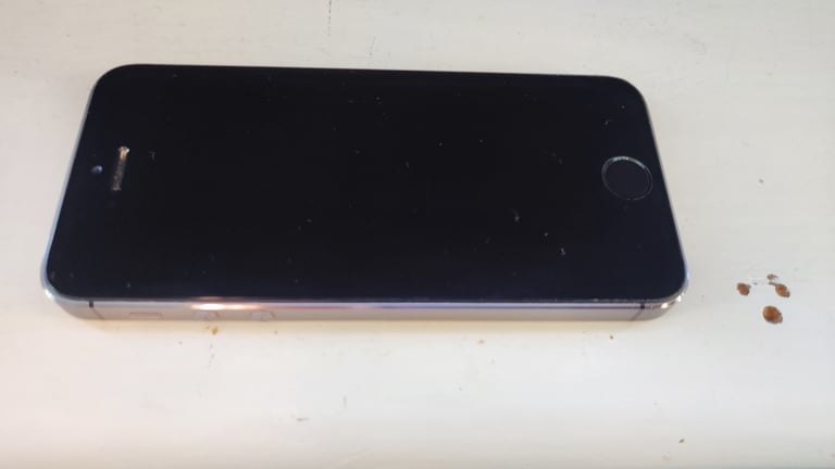 image for Apple iPhone 5S 16GB (Unlocked)