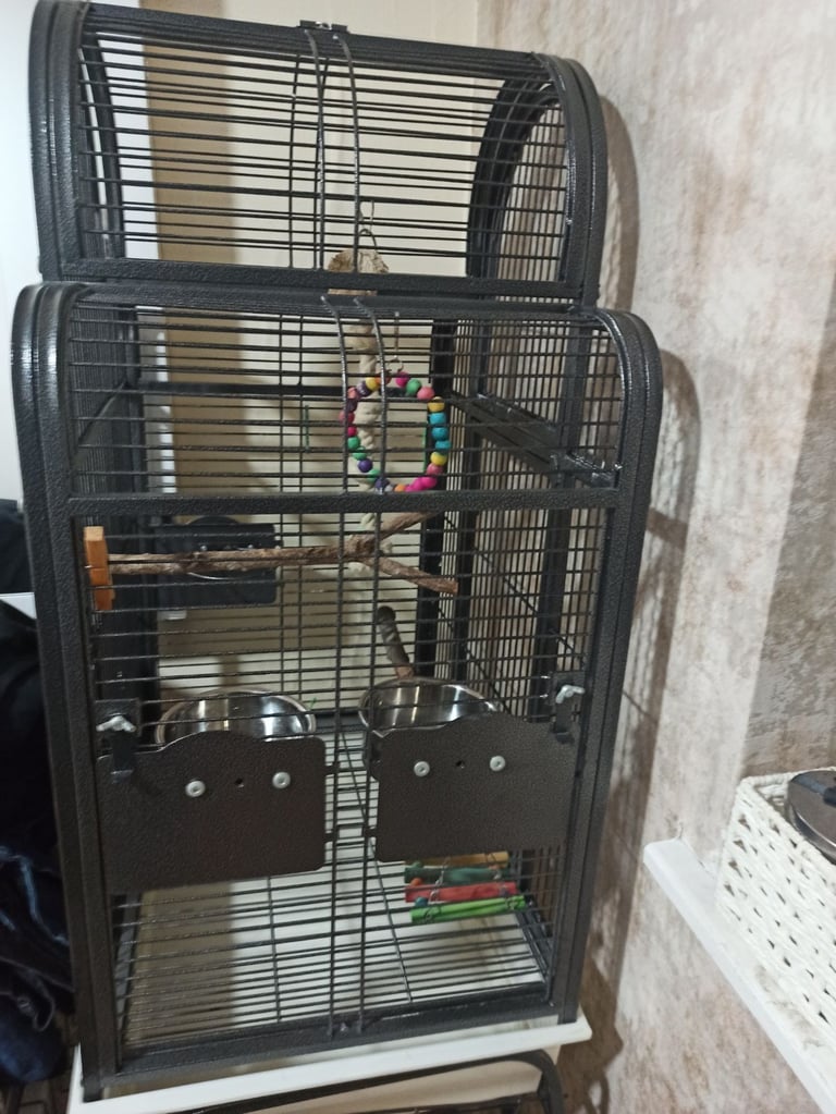 Rainforest Santa Fe Top Opening Parrot Cage with stand