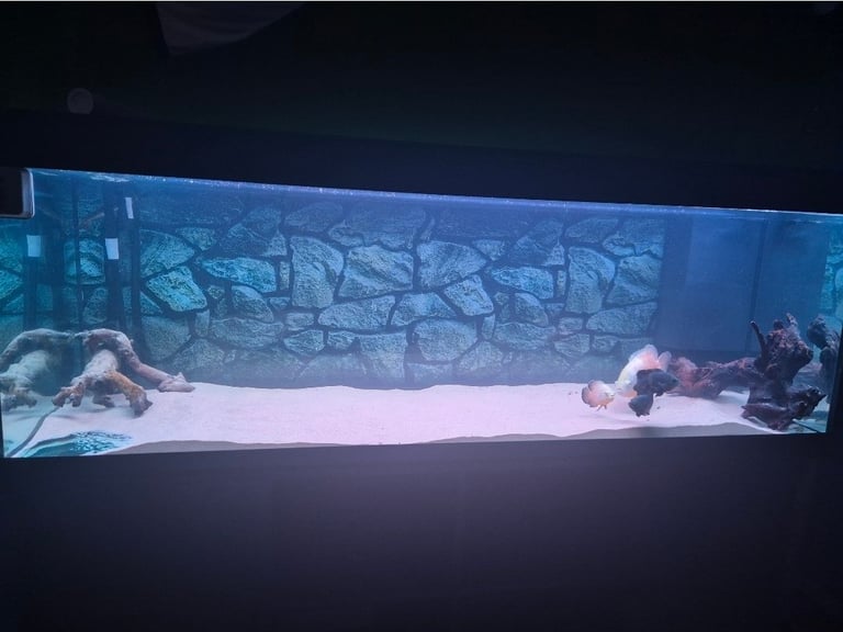 image for Complete aquarium 702l 