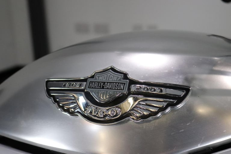 Harley-Davidson VRSCA V-Rod 100th Anniversary