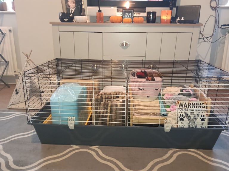 XL Indoor rabbit hutch 