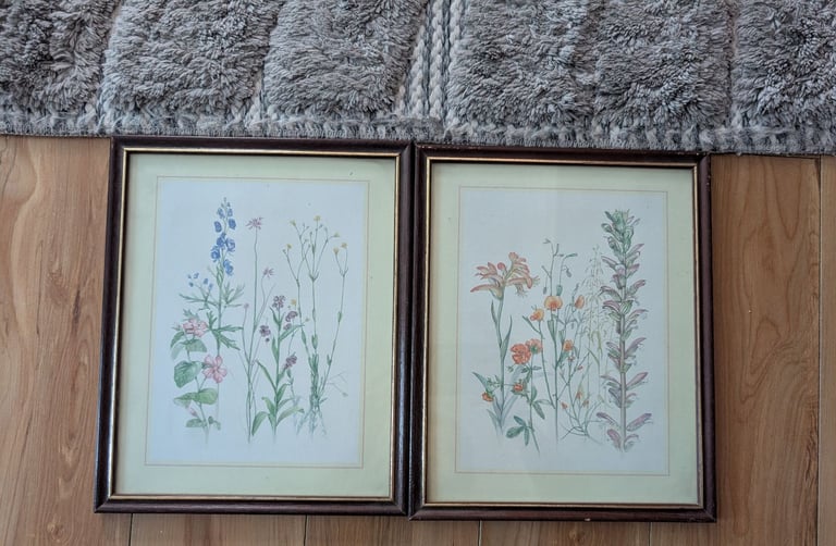 image for Set of Two Framed Botanical Watercolour Prints illustration