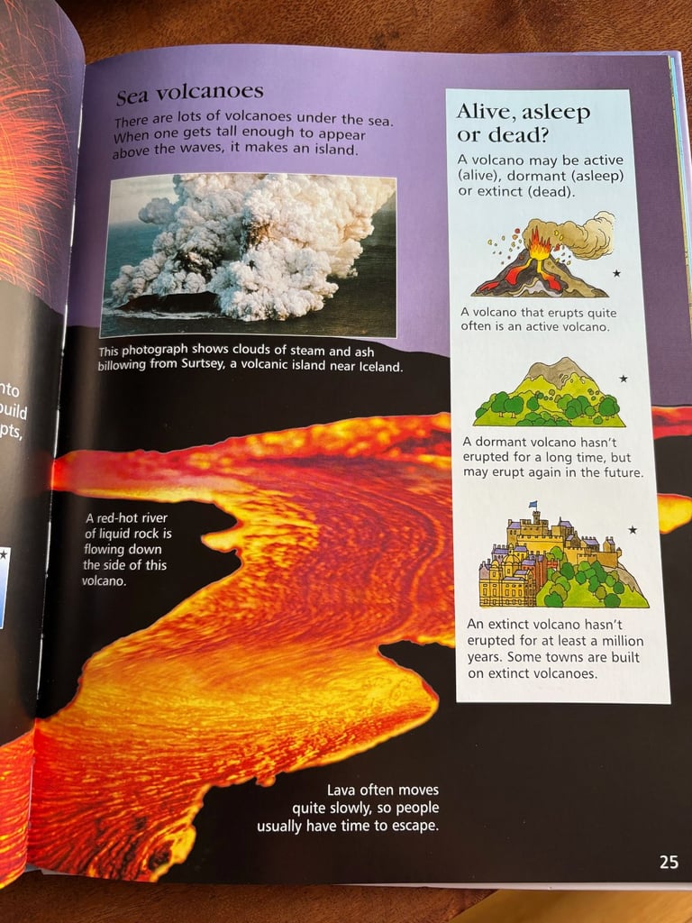 Usborne First Encyclopedia of our World 🌎