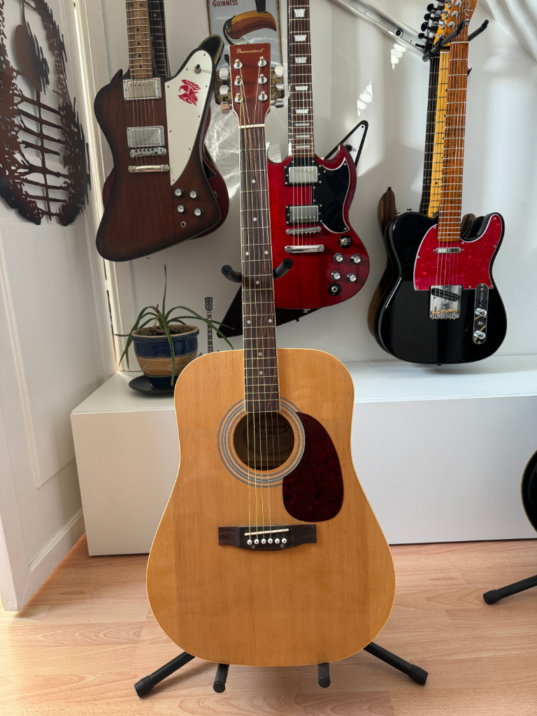 Burswood for Sale Guitars Gumtree