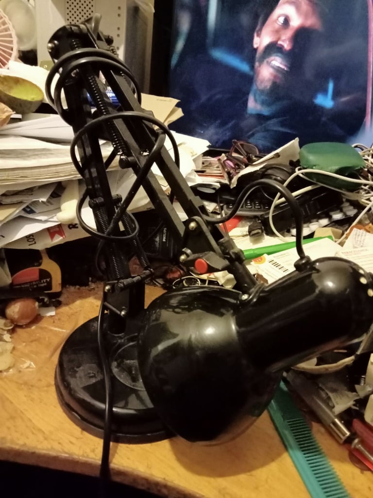 LLoyTRON Swing Polise Lamp