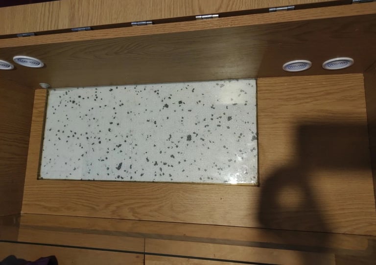 Vivarium 36 X 15 X12 Inches