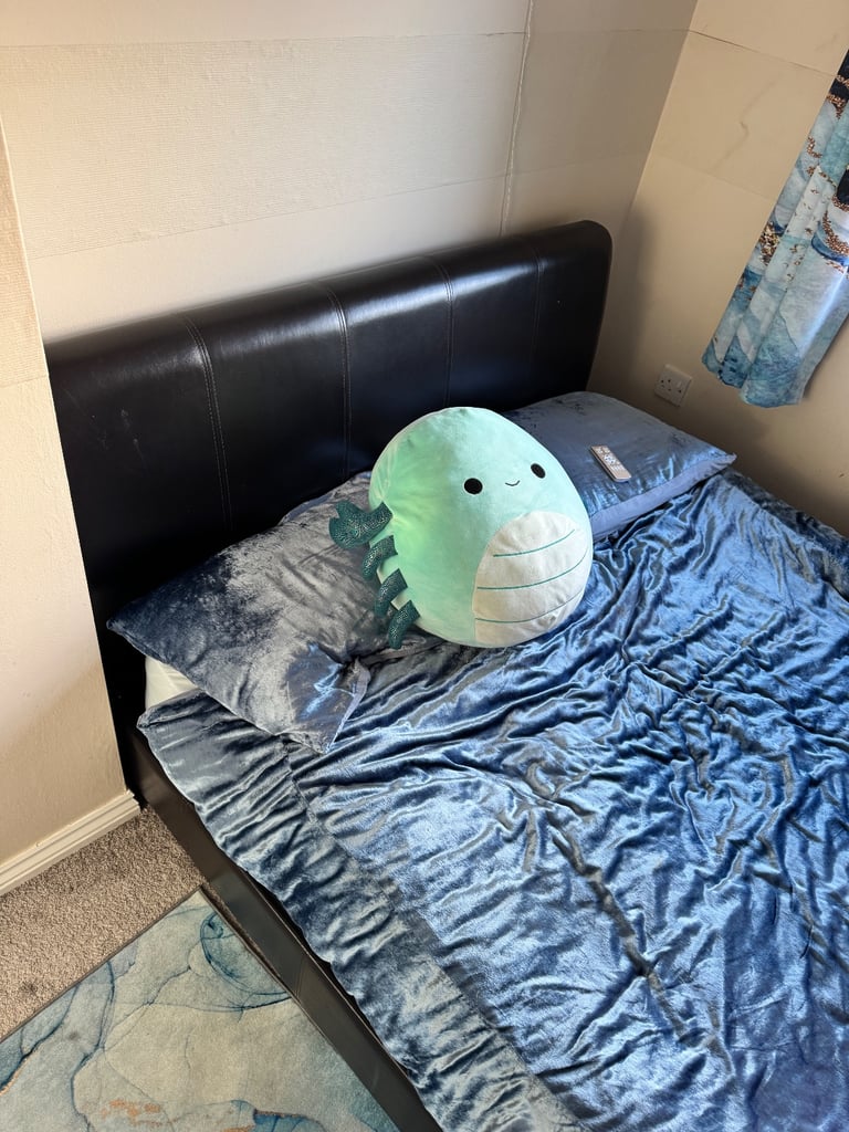 image for Queen Size Bed And Mattress 