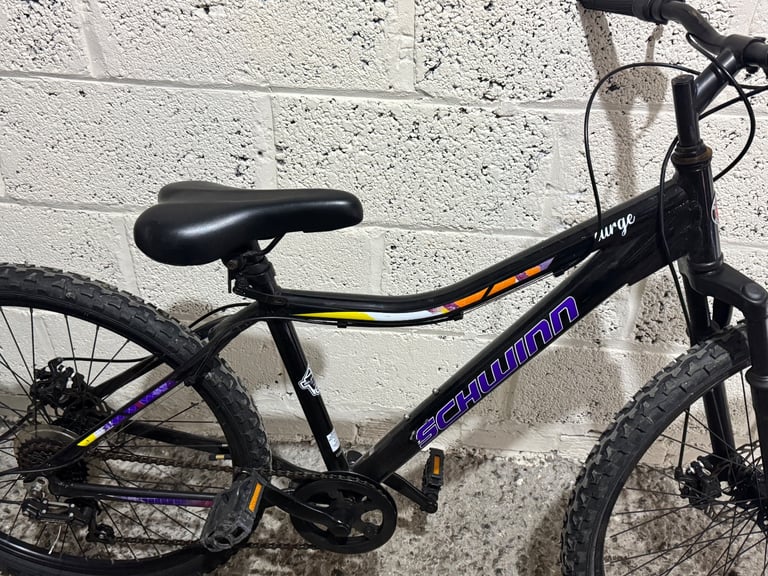 Schwinn Surge mountain bike