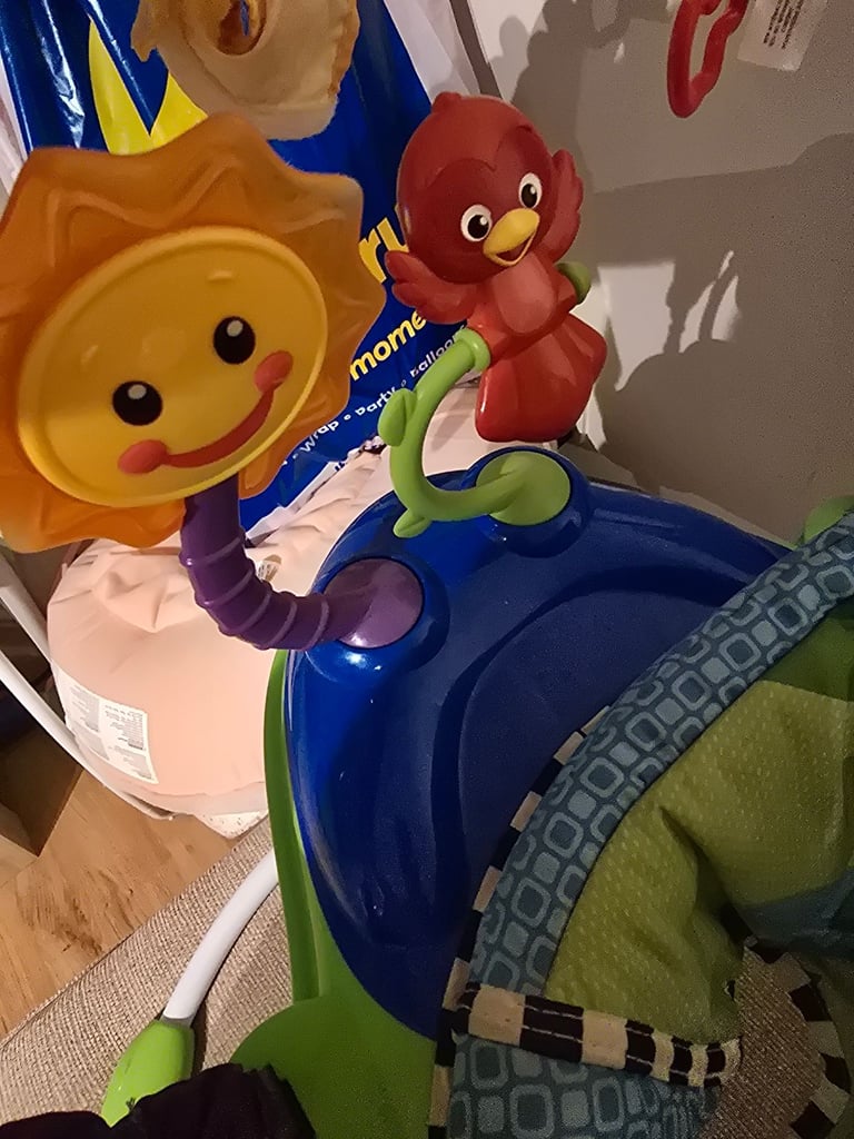 Baby Einstein baby jumperoo