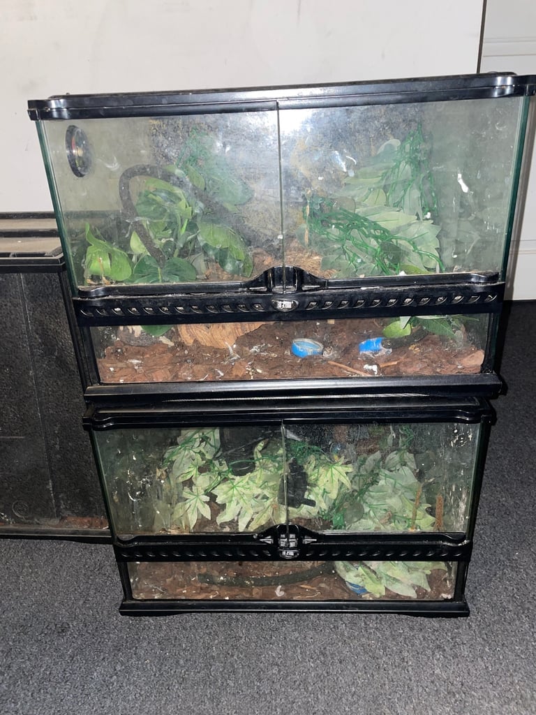 Pet vivariums 