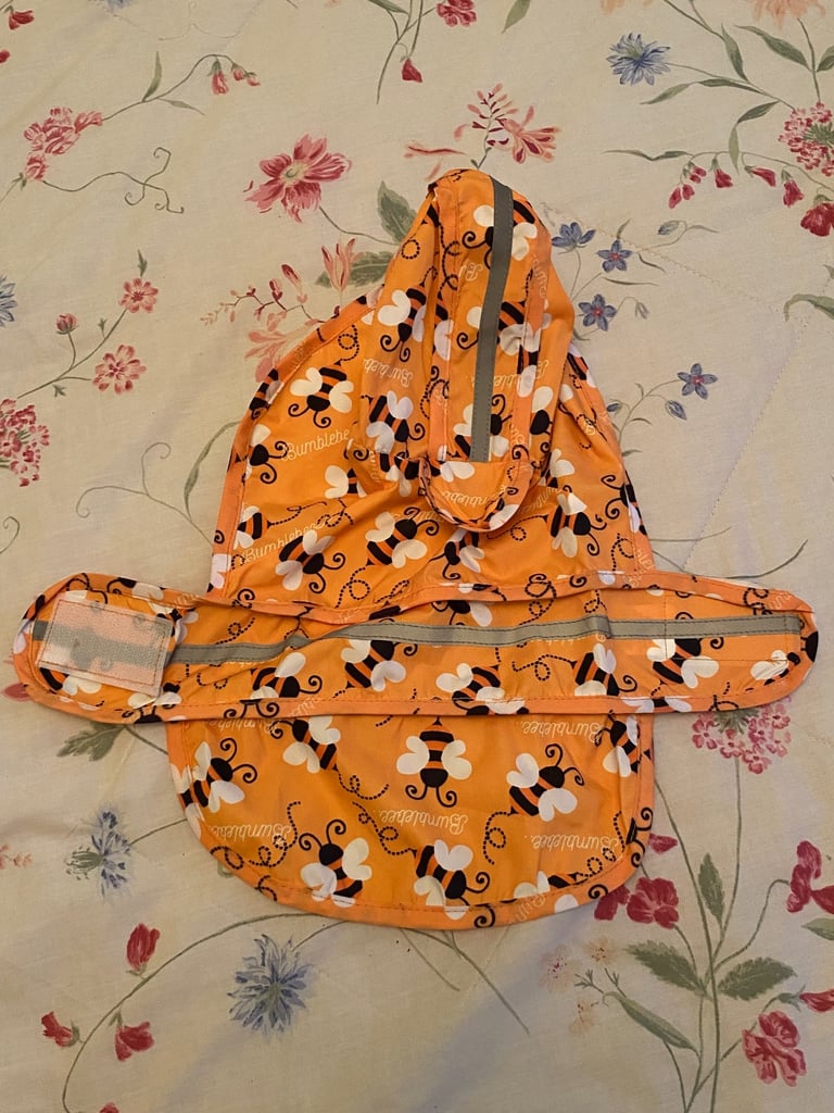 image for Yellow dog raincoat