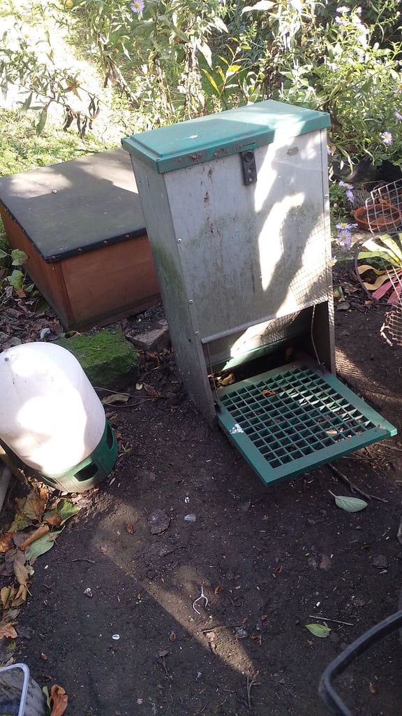 hen coop, run and feeder
