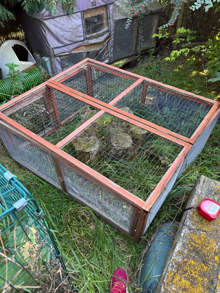 Rabbit run