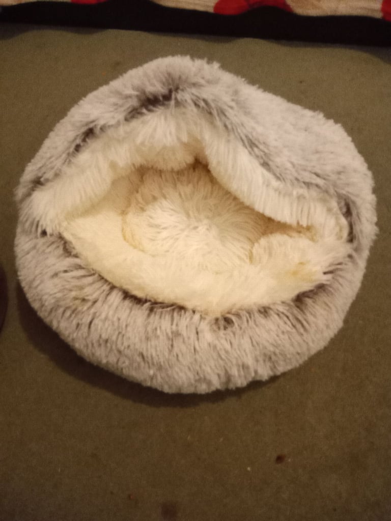 2 kitten/cat covered beds